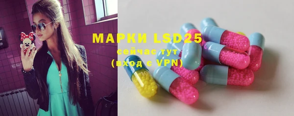 шишки Бронницы