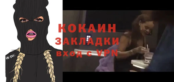 шишки Бронницы