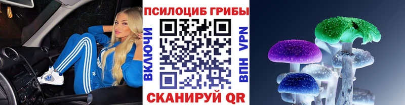 блэк спрут онион Армавир Псилоцибиновые грибы Psilocybe
